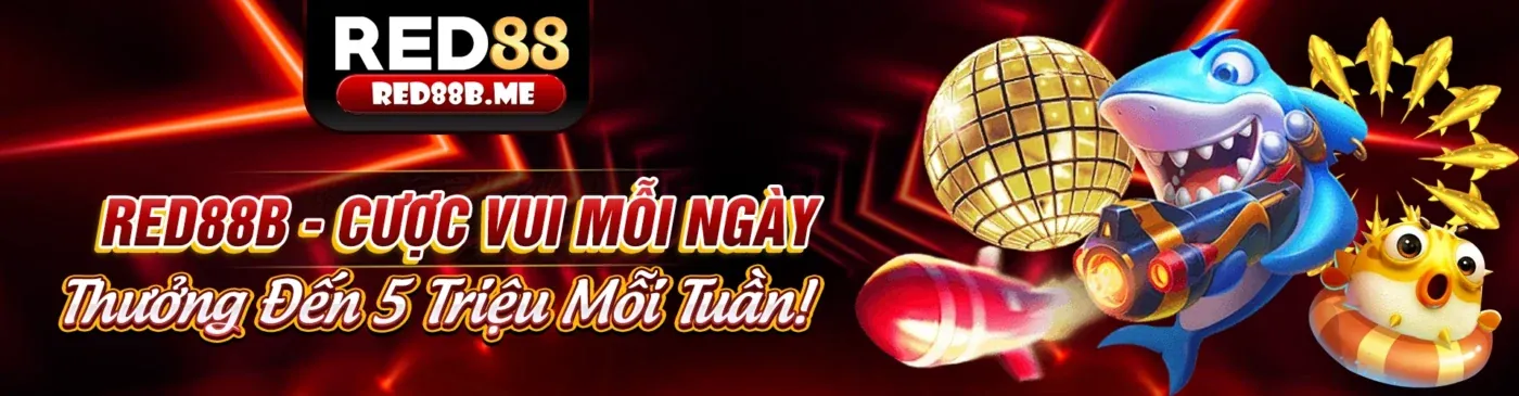 Giấy phép và quy định của W88 Chính